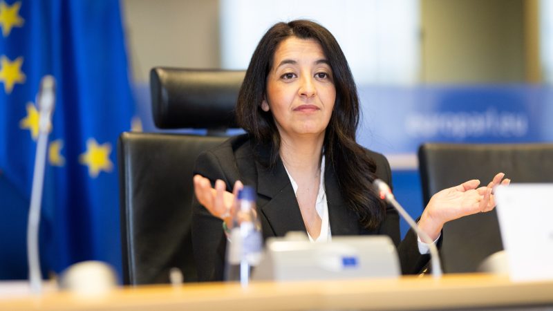 "We're going to have to pay for the decarbonised economy with the carbon economy" advocates European Parliament Transport Committee Chair Karima Delli